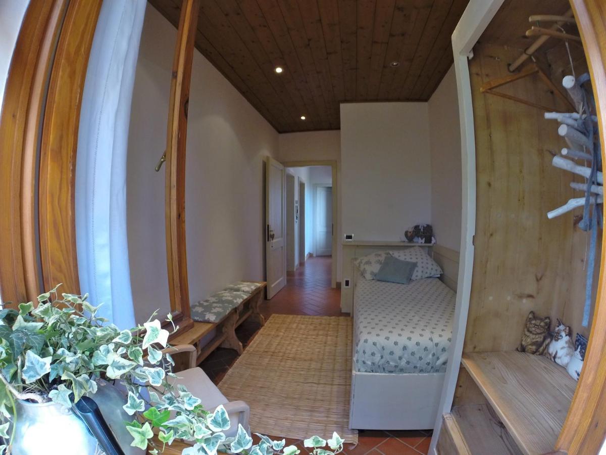 B&B Casa Volton Bevazzana Eksteriør billede